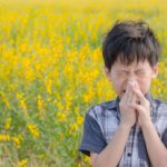 Áttörő kutatás a pollen és klímaváltozás kapcsolatáról